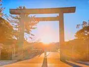 ヨモギ餅の画像
