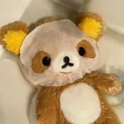りこの画像