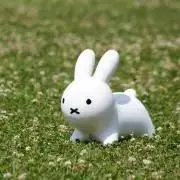 ちま