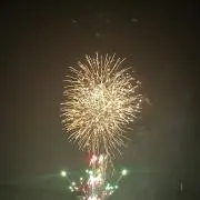 りーの画像