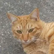 龍瞬ちゃんママ☆プロフィールを確認☆