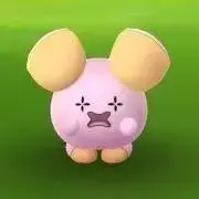 さくちゃんの画像