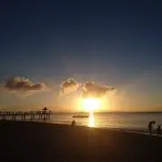 りのの画像