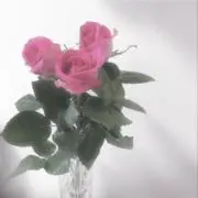 s.sの画像