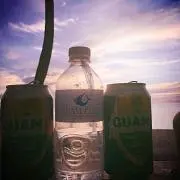 ヤシの木パパ