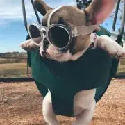 a-chaNの画像