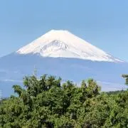 ラグの画像