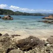 中島。。。の画像