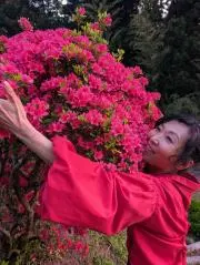 ファンシィの画像