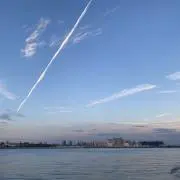 yasudaの画像