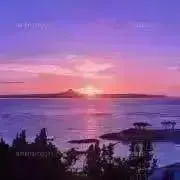 南国育ち　島らっきょう。の画像