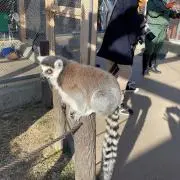 む子の画像