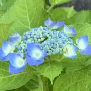 ここん⭐️プロフお読みくださいの画像