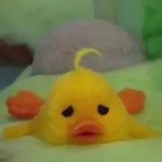 にゅの画像
