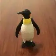 Kennyの画像