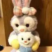 ゆっきの画像