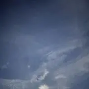 はなの画像