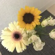 塩分の画像