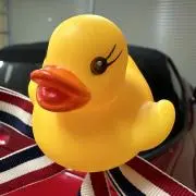 RSゆた
