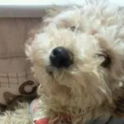 みくとさくら☆
