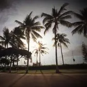 3284の画像
