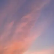 こなの画像