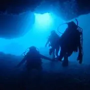 ＊＊海外インポート取扱いあり＊＊