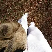 ✩K✩の画像