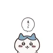 yの画像