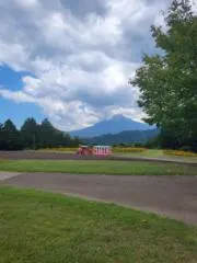 Penginの画像