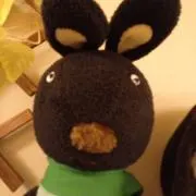 くろうさ