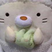 のぞみんの画像
