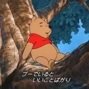 アオコの画像