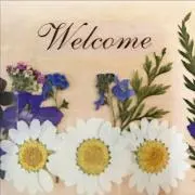 夢花工房  まとめ買い割引実施中！の画像