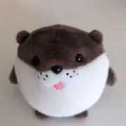ゆぴこの画像