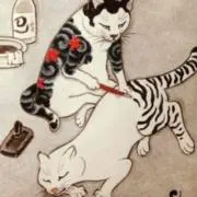 H6Kの画像