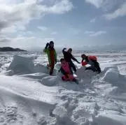 のりの画像