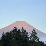 最終値下げ】DAMNGOOD DAMNJOZU 床上手さん - メルカリ