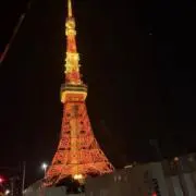 yuiの画像