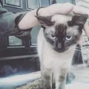 なの画像
