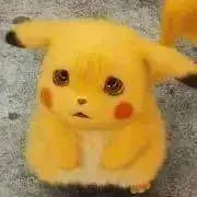 たんだの画像