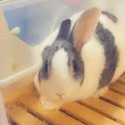 もこの画像
