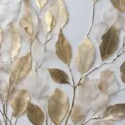 oの画像