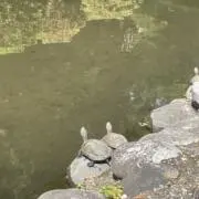 葛西拓男の画像