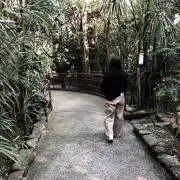ノリヲ