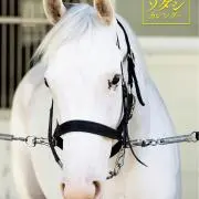 hanakoの画像