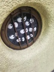 たろの画像