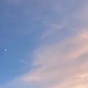猫沢