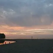 けんの画像