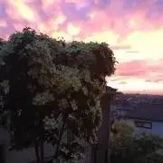 【プロフ必読】HaSanの画像